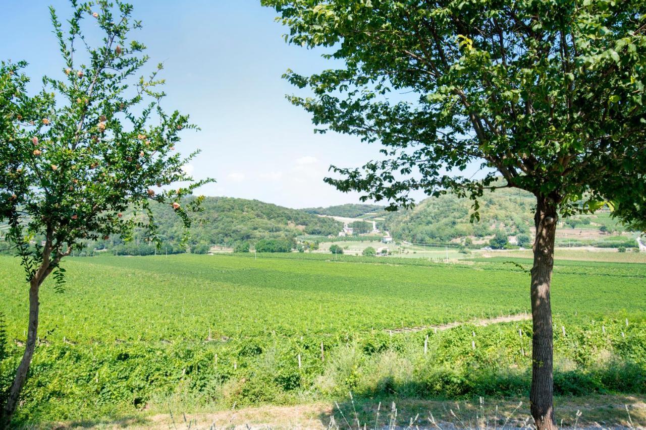 B&B Ai Filari バオーネ エクステリア 写真